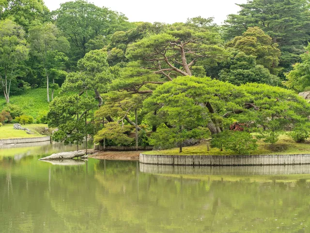 東京六義園完整攻略：夜櫻夜楓門票、交通、官網預約、四季賞景一次看