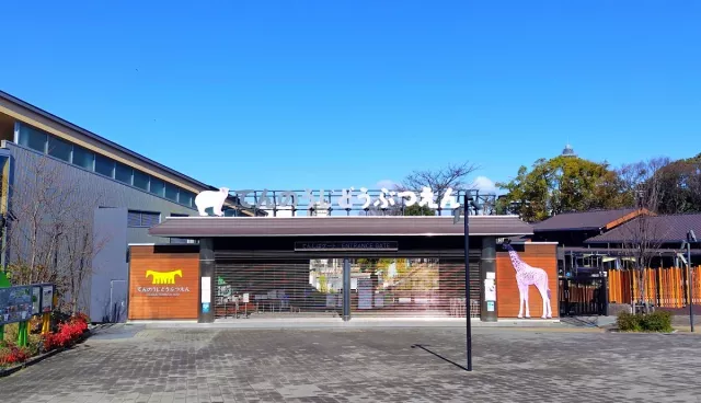 開園超過110年！大阪市天王寺動物園：門票、北極熊餵食秀、必看動物