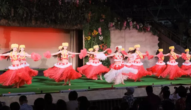 【2天行程】Spa Resort Hawaiians、磐城市煤炭化石館、白水阿彌陀堂巡禮 的縮圖