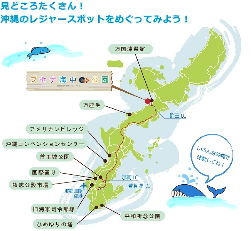 部瀨名海中公園位在沖繩本島北部的位置