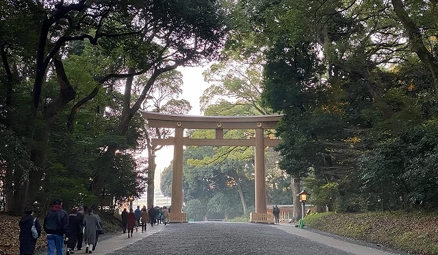 中間有一個鳥居,鳥居前面有步道,兩側有一整排樹木。