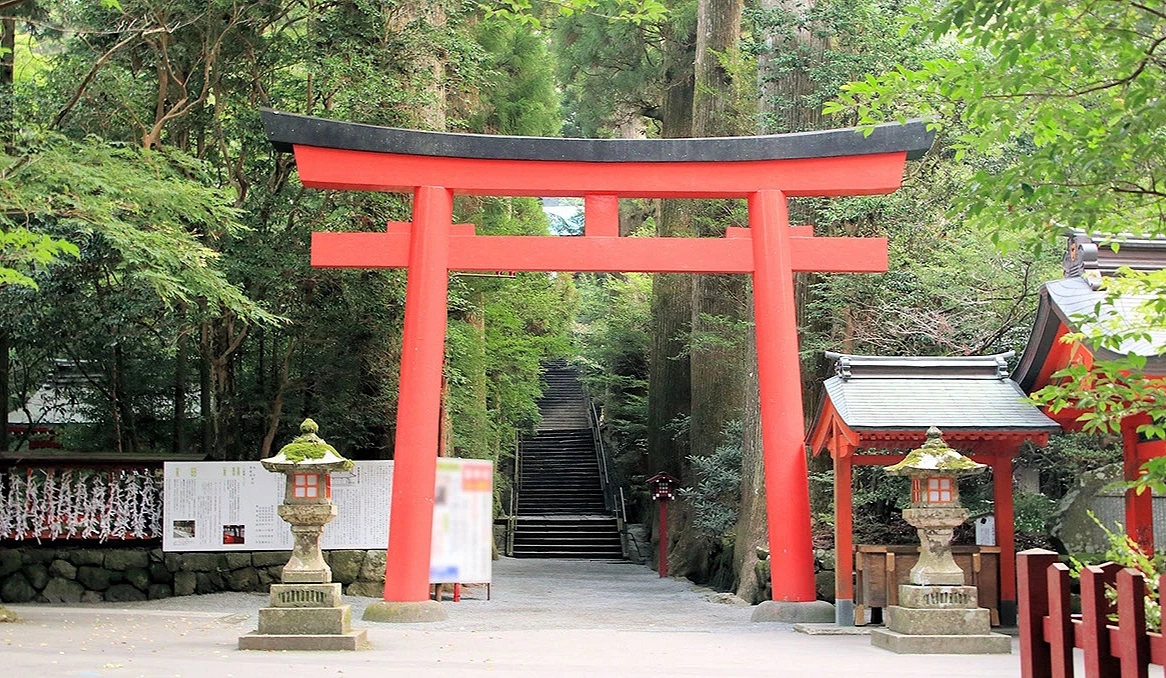 箱根神社的參道及鳥居