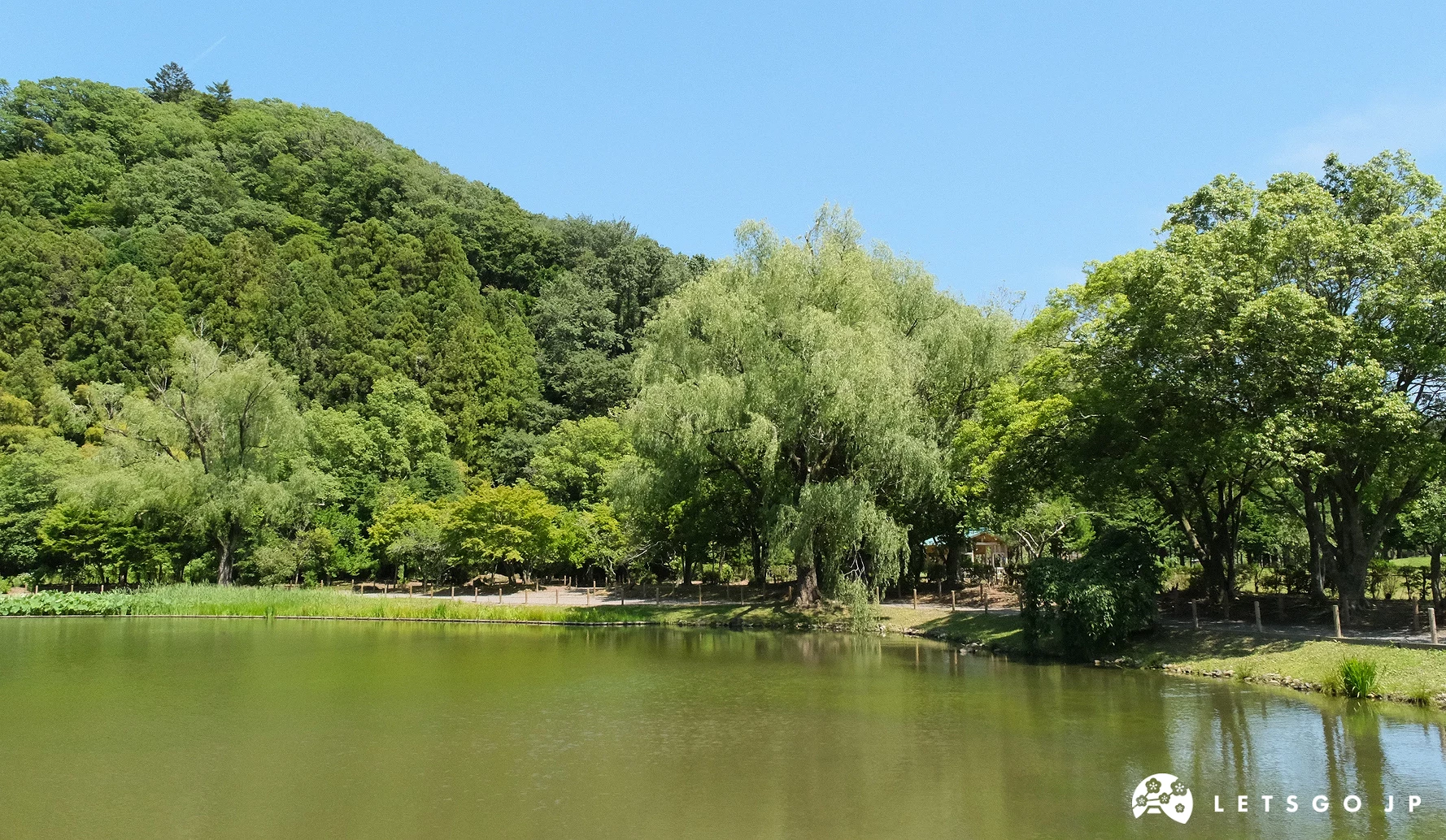 白水阿彌陀堂前方的淨土式庭園