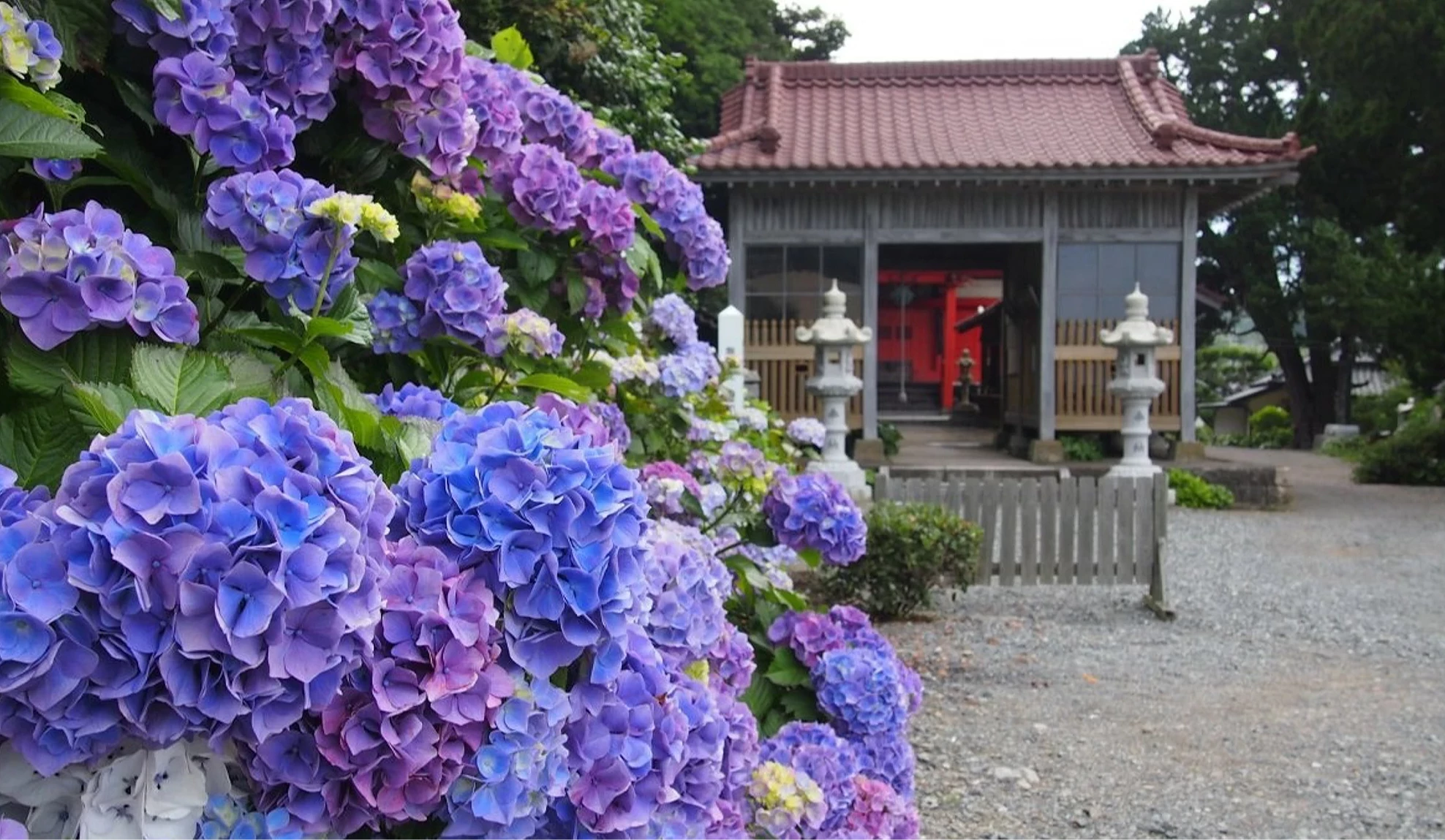 波立寺
