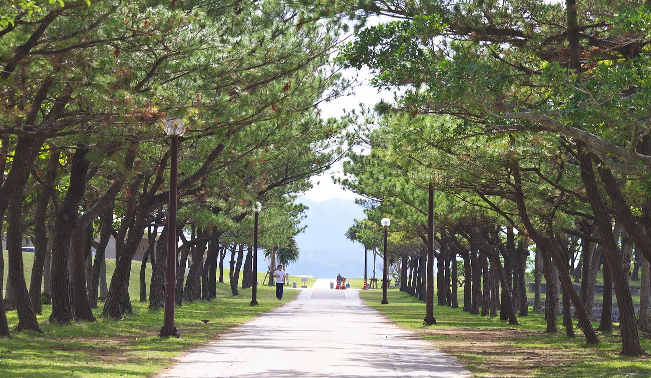 21世紀之森公園的園內景色