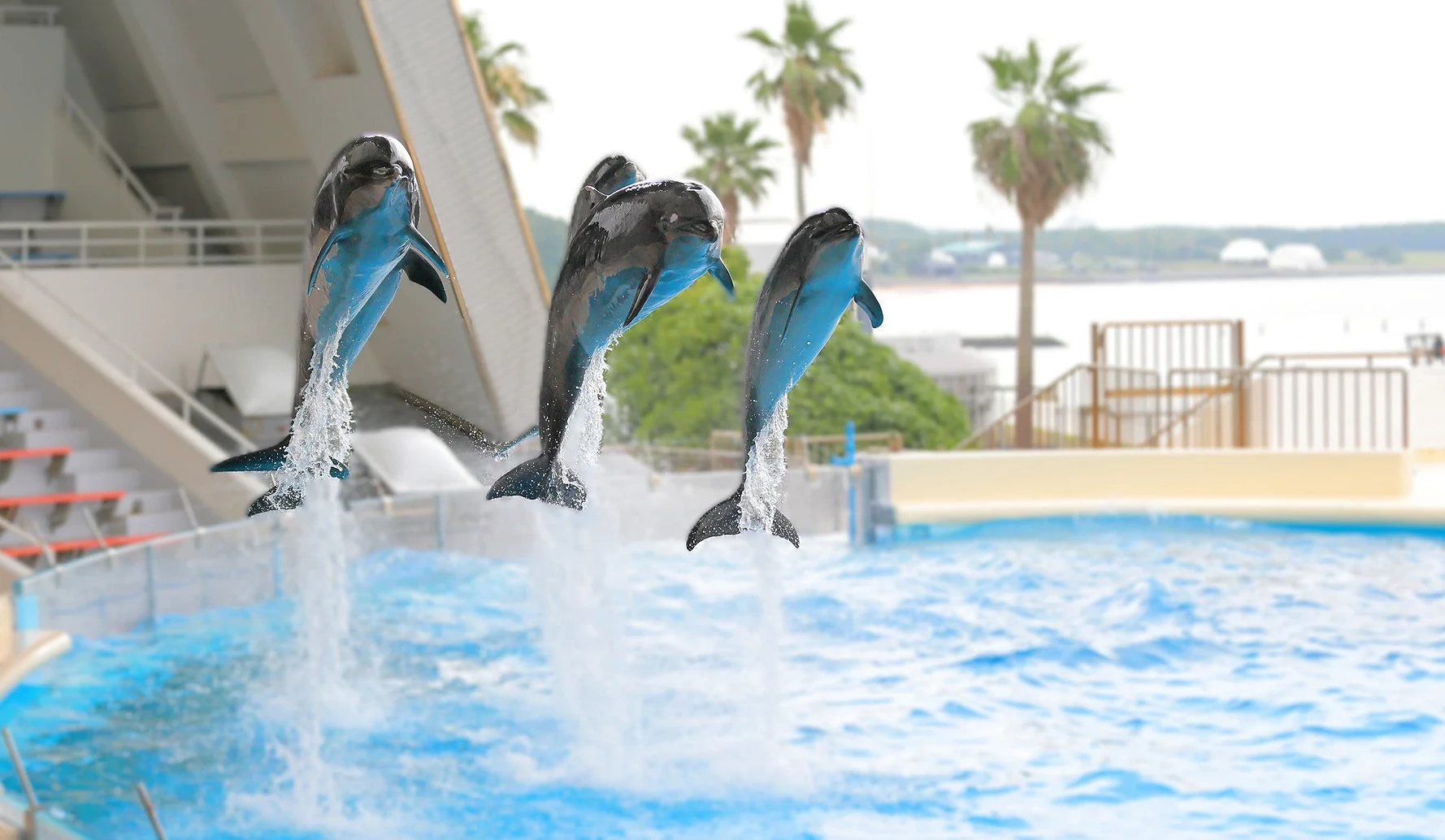 海洋世界海之中道水族館
