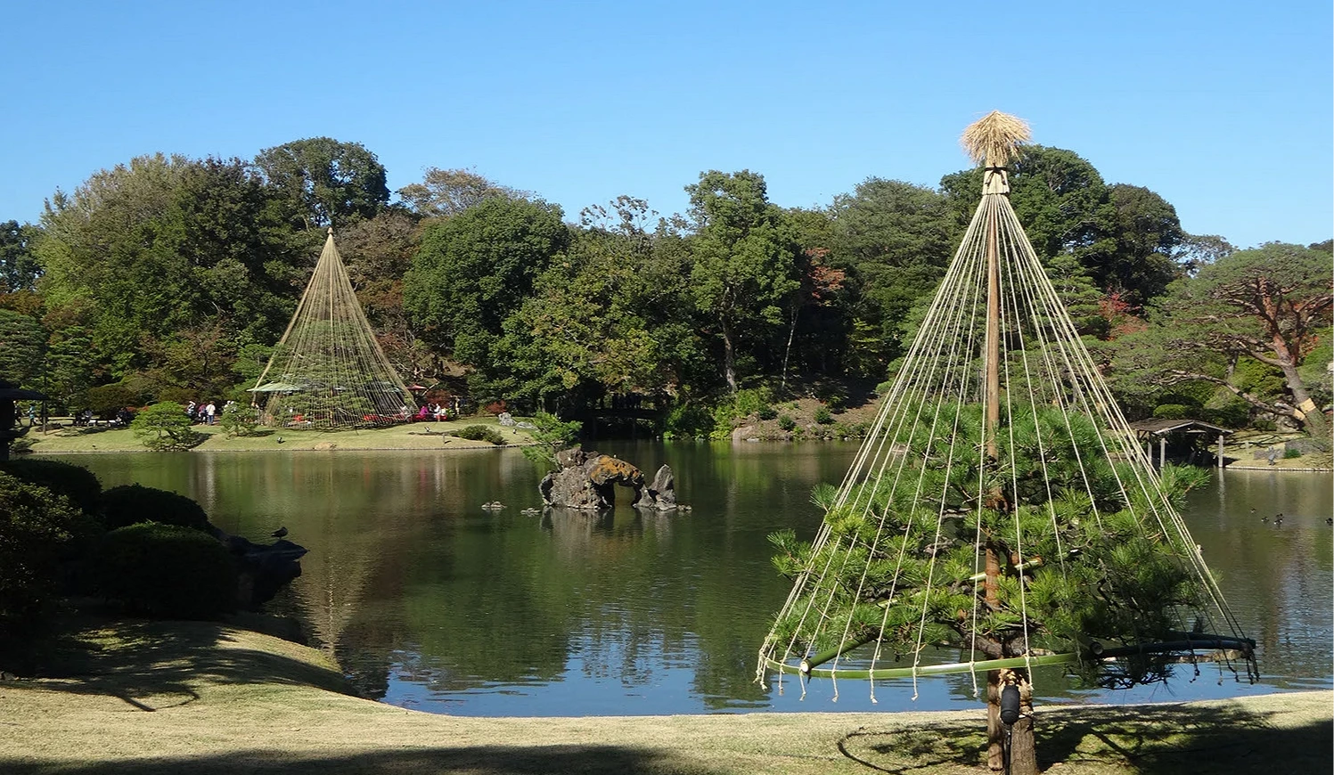 六義園冬季才會設置的雪吊