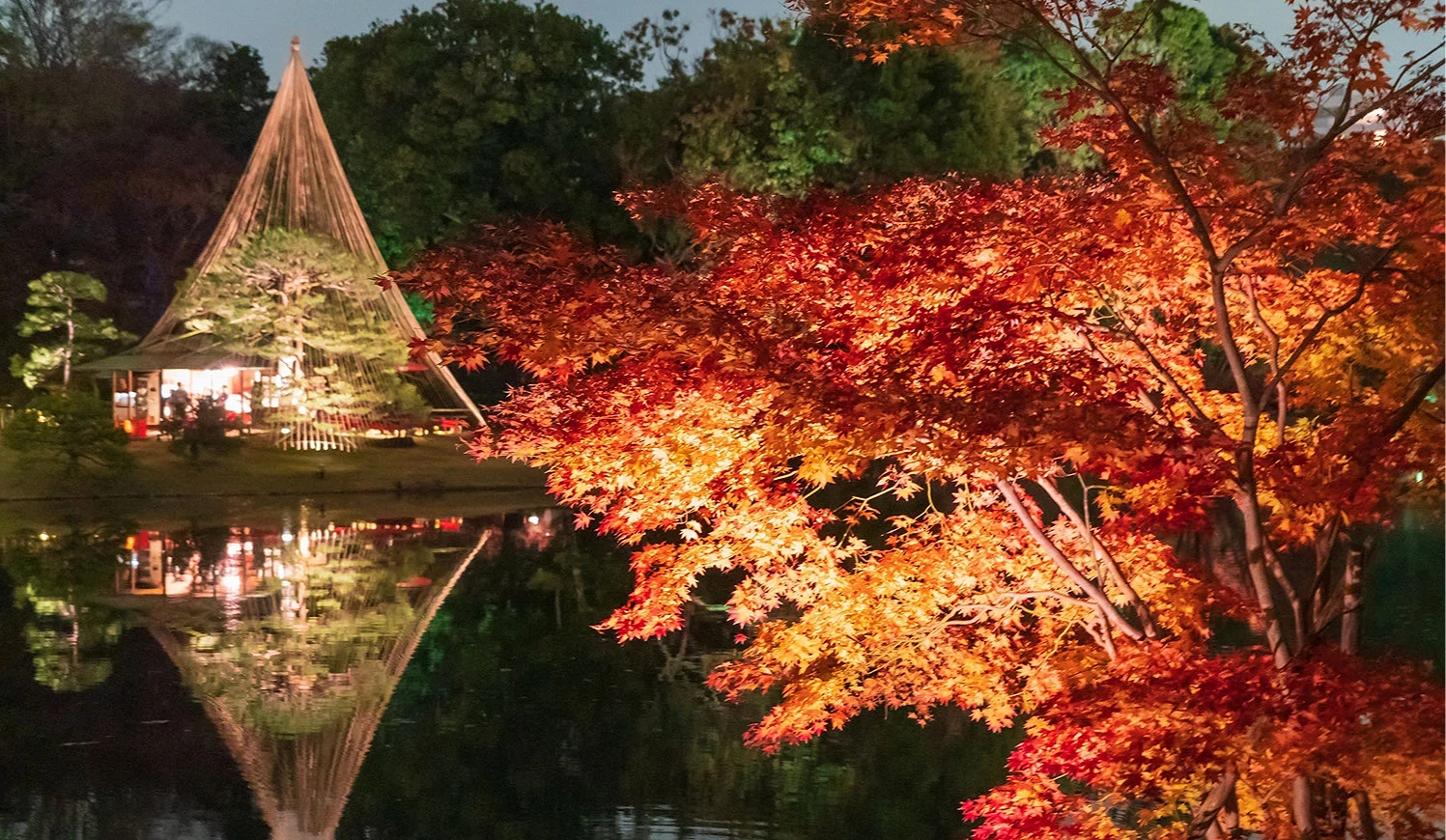 六義園的晚間紅葉點燈與池上倒影