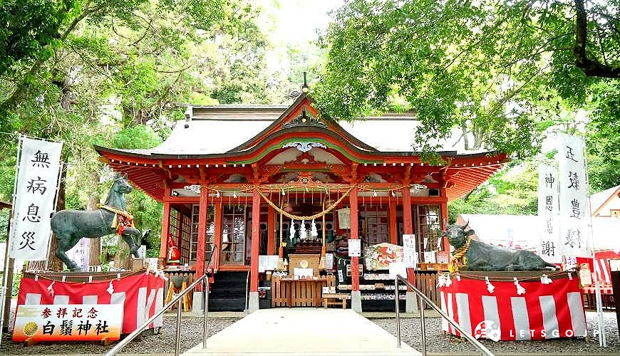 白鬚神社拜殿