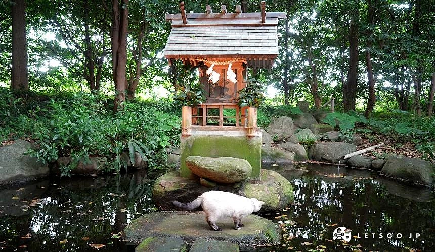 可愛的 tete 在水神社前玩水