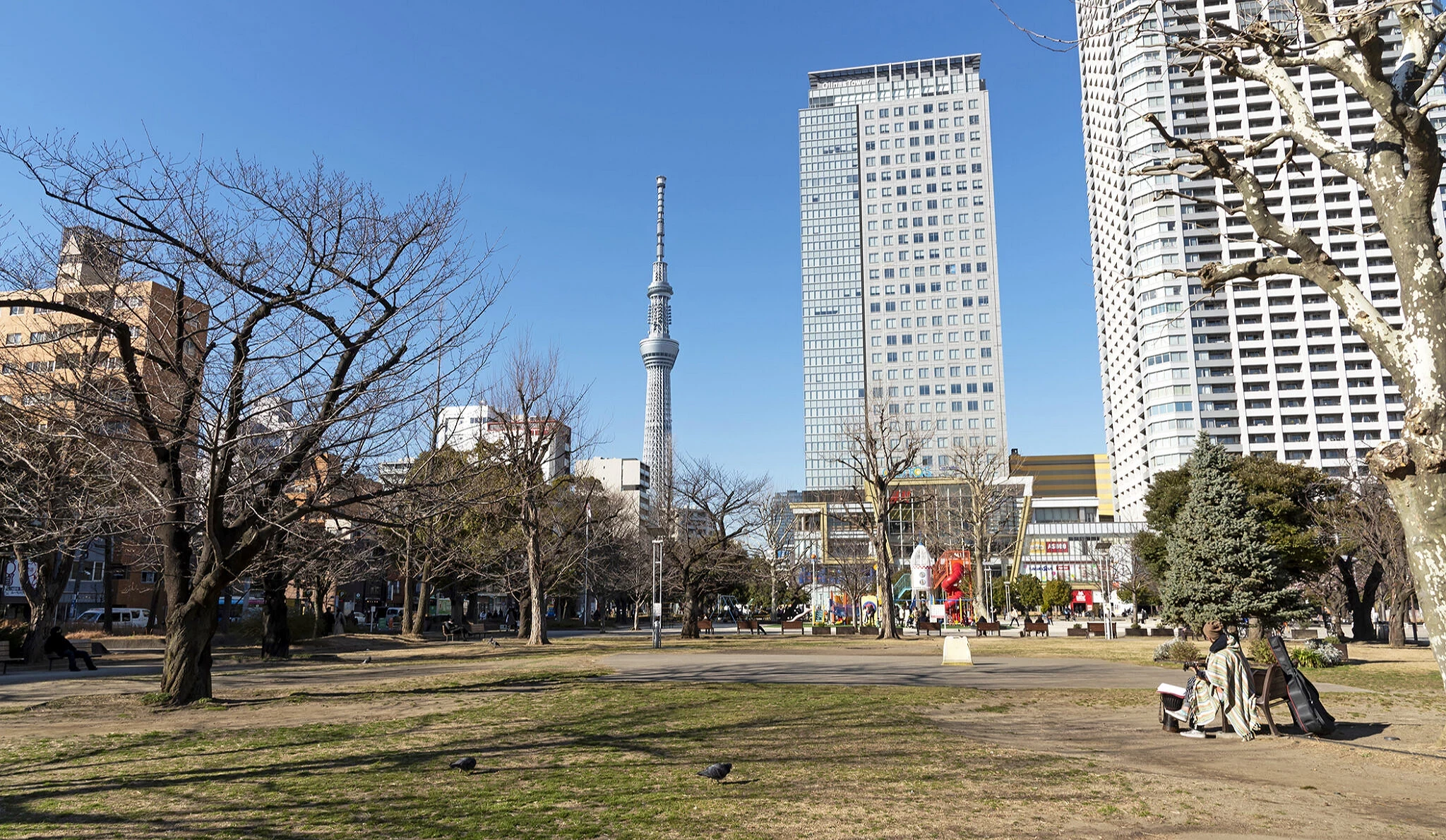 錦糸公園