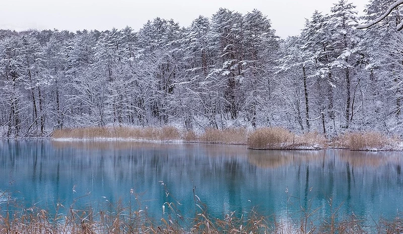 日本福島縣五色沼冬季雪景和湖面