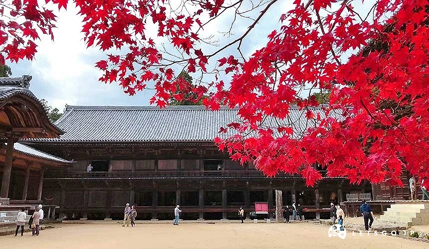 書寫山圓教寺與紅葉一景