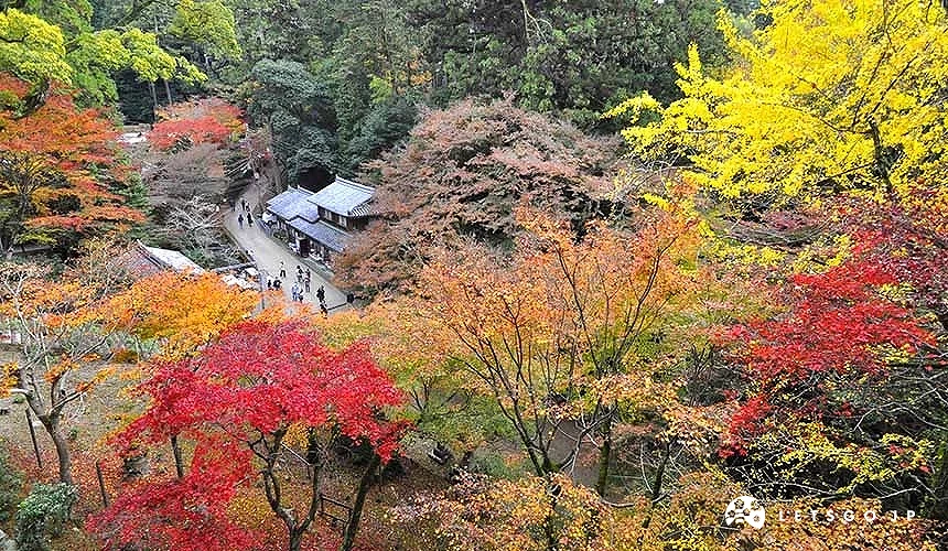 位在深山中被紅葉包圍的書寫山圓教寺