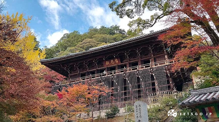 楓葉與銀杏襯著書寫山圓教寺