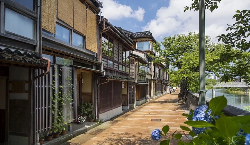 古色古香街道木造建築群,紫陽花綻放前景,河景與綠樹映襯日式町家風情。