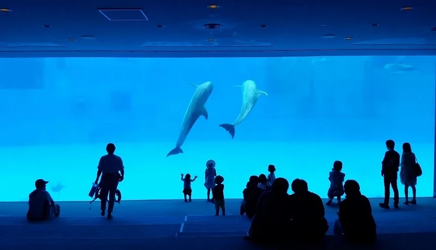 白鯨水族館大水槽