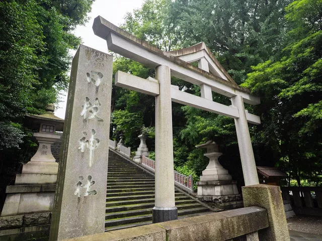 日枝神社攻略：山王祭、御守、御朱印、東京千本鳥居，交通亮點一次看！
