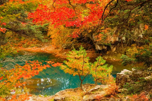 嚴美溪攻略：飛天糰子購買教學、交通與停留時間，岩手溪谷賞櫻賞楓必來
