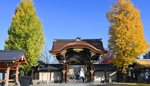東本願寺攻略：銀杏、御影堂、東西本願寺差異，京都知名木造寺院指南！