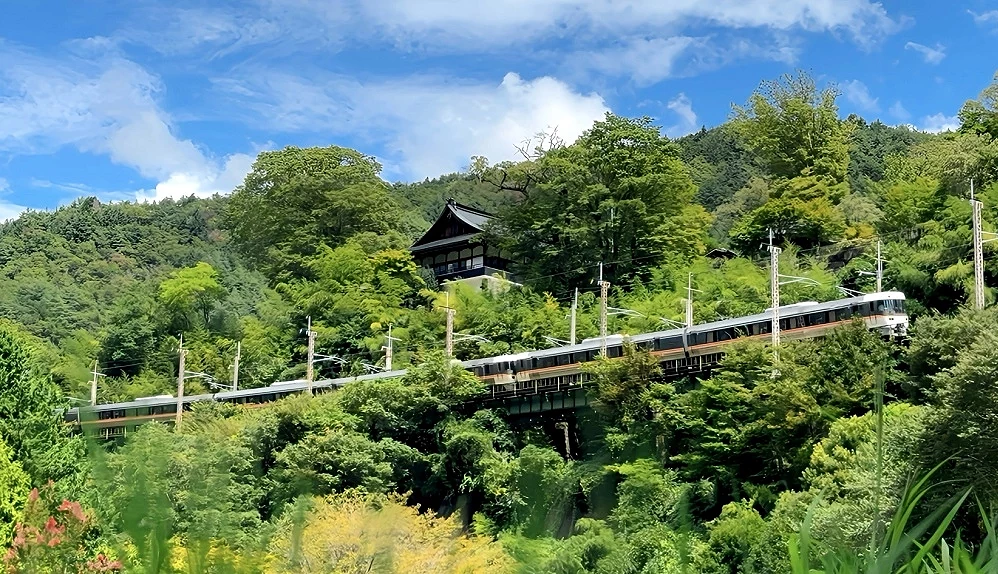 JR特急信濃號行駛在綠意的木曾路段上