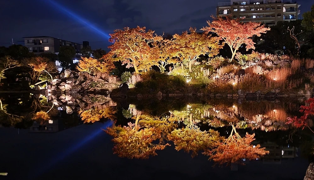 東本願寺涉成園紅葉點燈