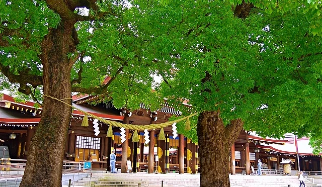 神社前面,有兩顆大樹,樹根樹枝間繫有一條黃色的繩子。
