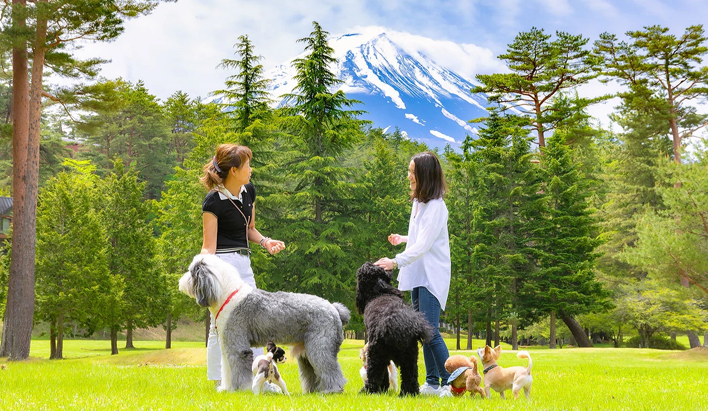 富士山瞭望廣場可欣賞富士山的超近絕景