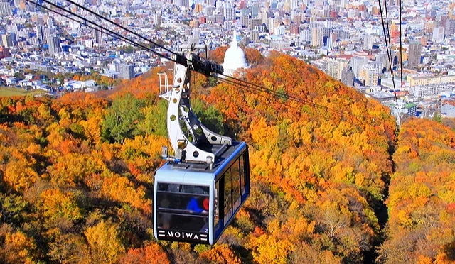 10月中旬至10月下旬搭乘纜車欣賞楓葉景色