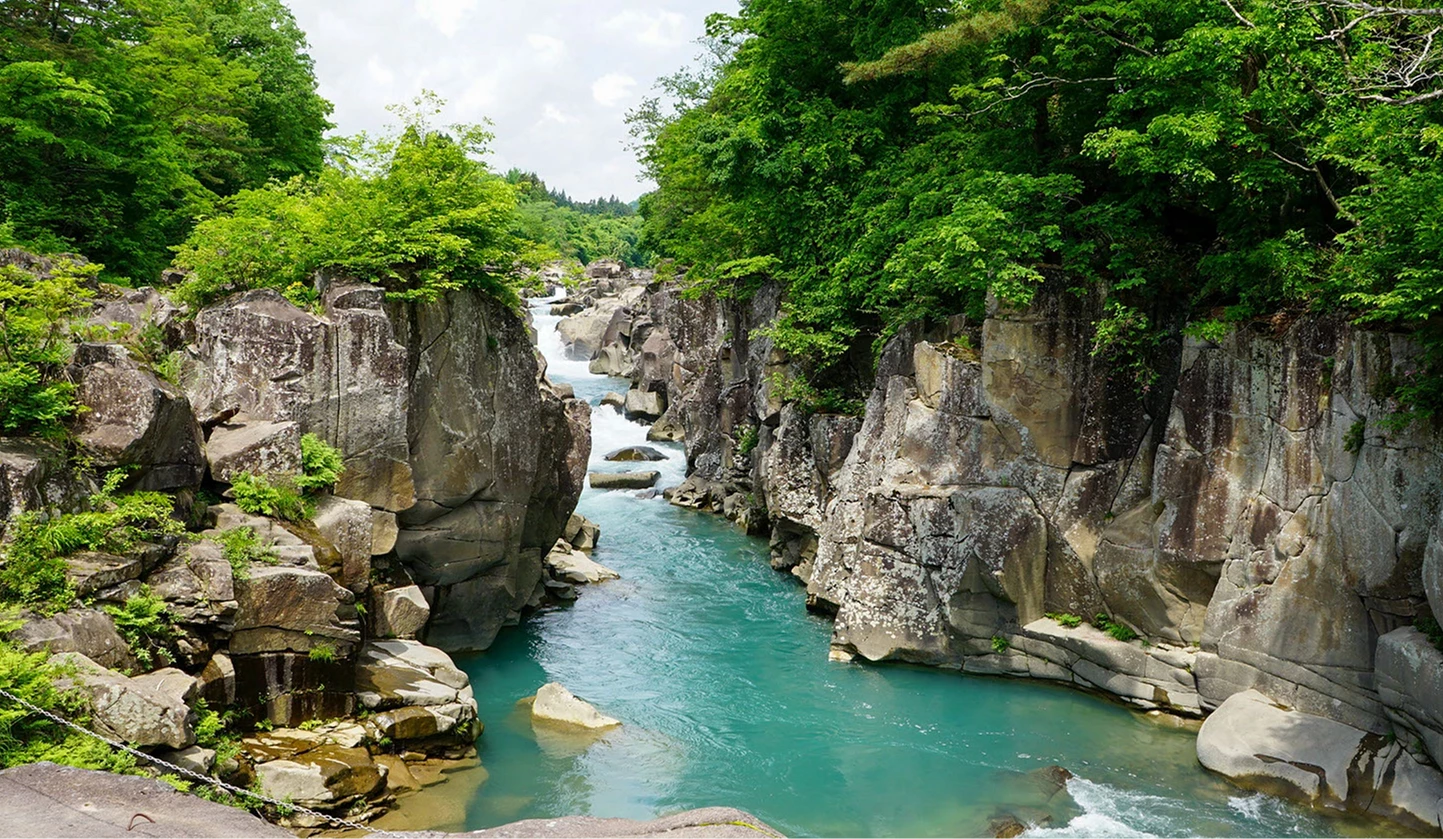 嚴美溪的夏天景色充滿綠意