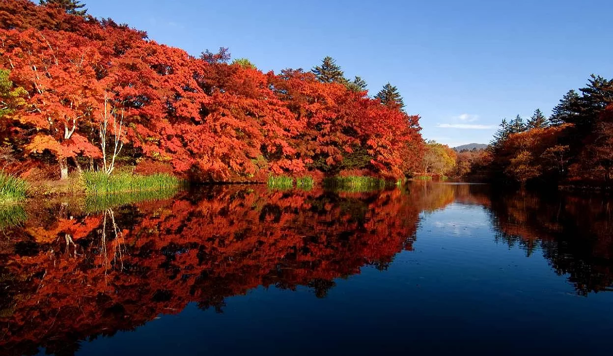 秋天紅葉環繞倒映在湖面的景色