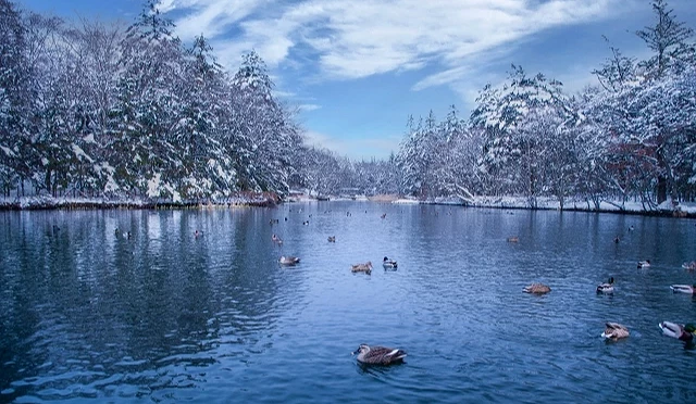 冬天的雲場池披上一層潔白雪景