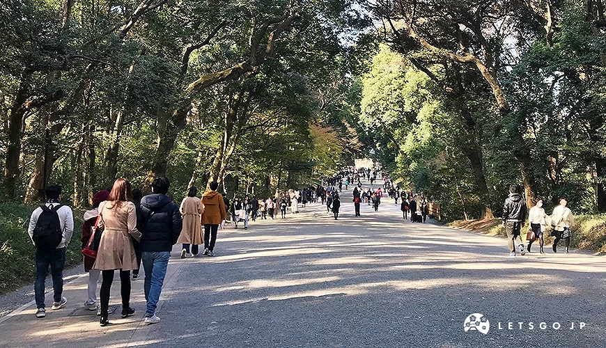 明治神宮境內茂密的樹林