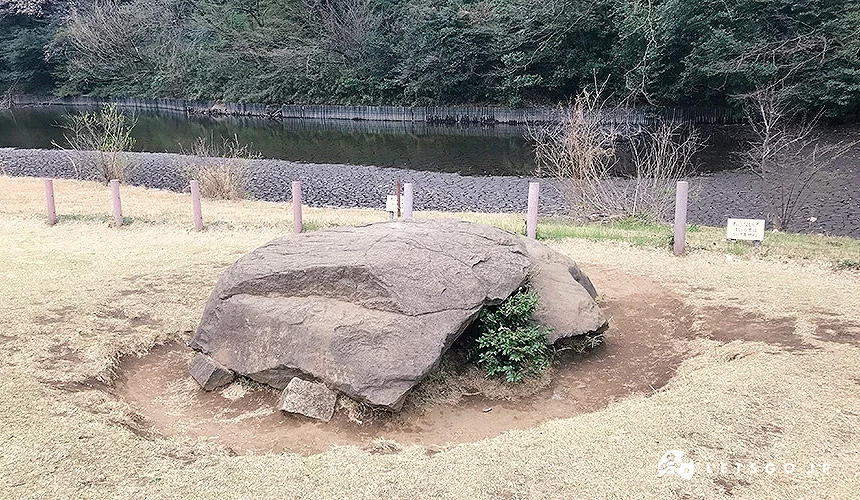 明治神宮境內龜石