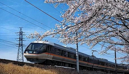一輛特急電車在軌道上行,旁邊有一株粉色的櫻花樹。