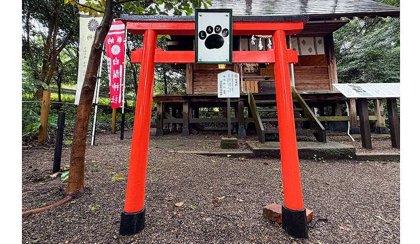 全新「寵物鳥居」