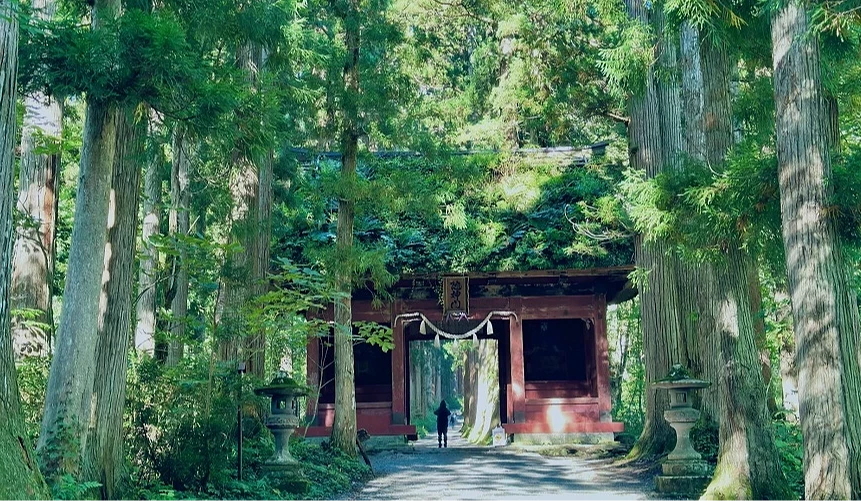 戶隱神社林間的奧社參道