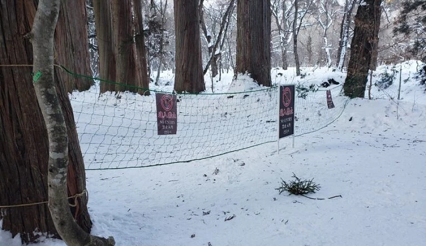 積雪的戶隱林間拉上禁止進入的網子
