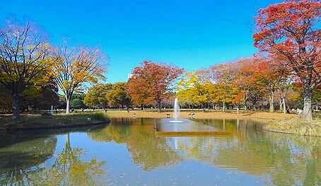 有一座噴水池跟水池,後面有紅黃色的的樹木。