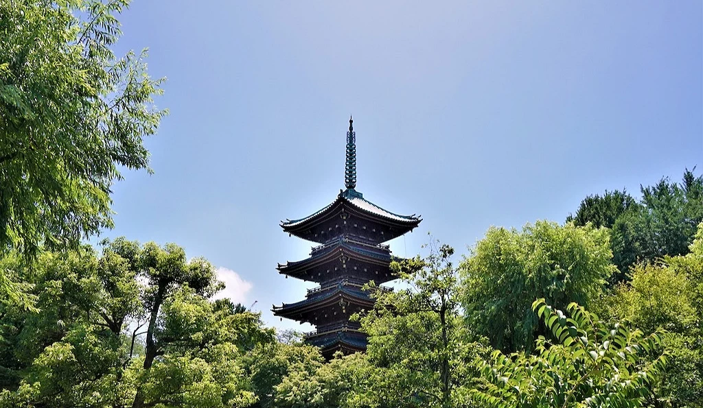樹林中間樹立五重塔