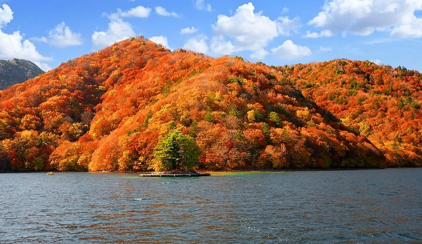 `秋季山丘覆滿紅橙色楓葉,山腳下湖面設有木製浮台`