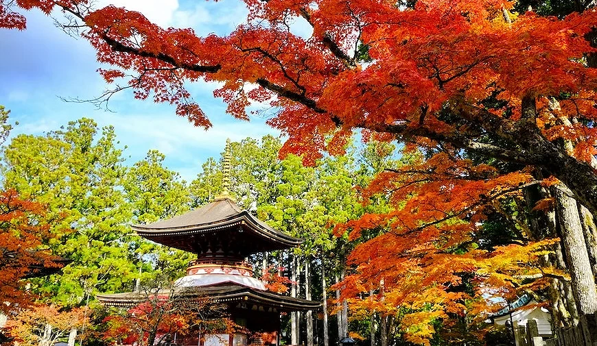 `秋季紅葉環繞的日式多重塔樓建築,背景為藍天白雲`