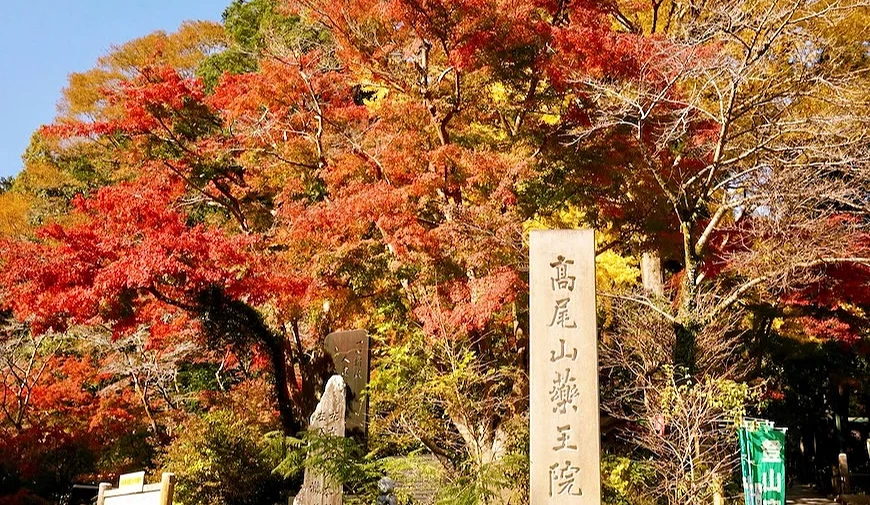 `高尾山藥王院石碑前,四周楓樹呈紅、橙、黃色秋景,晴天戶外`