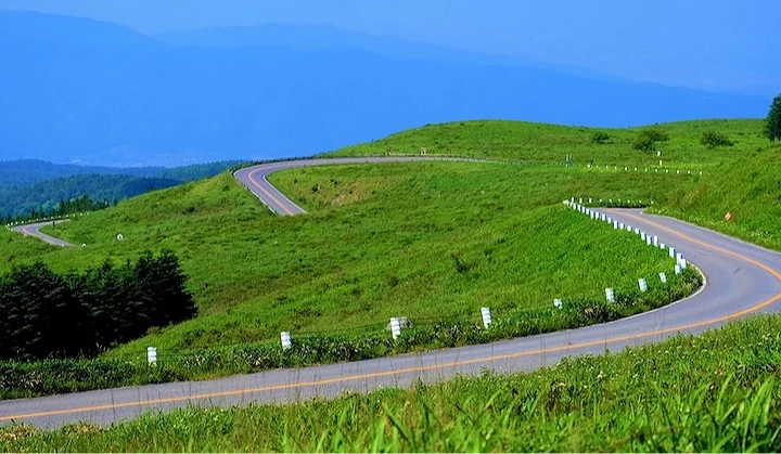 蜿蜒瀝青公路穿越翠綠草坡,白色護欄與橙黃中線標誌,層疊綠樹與褐色山巒延伸遠景,層疊青山聳立背後,晴朗深藍天空映照,日本高山草原風景秀麗壯闊。