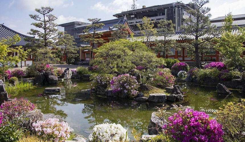 清池倒映紫紅杜鵑花與古建築,灰瓦翹角屋頂與紅木柱子,綠松樹與石橋點綴庭園,白色與紫紅花卉盛開,遠景現代建築與藍天映襯,日式古典庭園春季花卉絢麗。