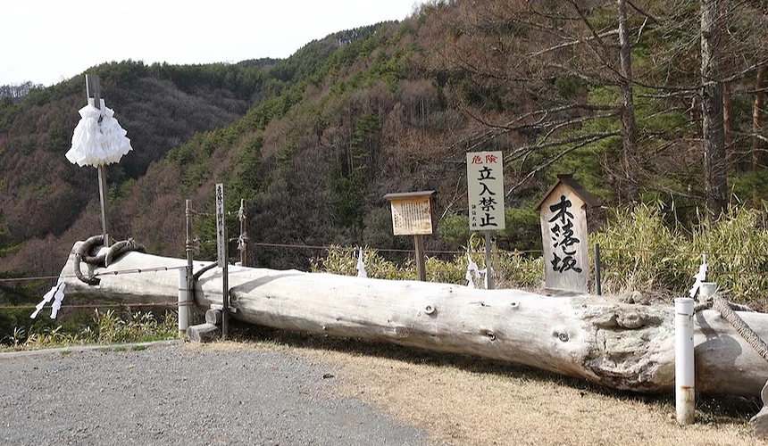 白色布巾與繩索懸掛樹幹,灰色原木橫臥地面,日文木牌標示禁止與景點名稱,白色紙符咒點綴,層疊褐色與綠色山林背景,春季新芽萌發,日本山間神聖所宁静肃穆。
