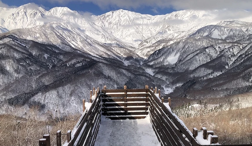 木製觀景平台延伸雪地,黑色欄杆與木質地板點綴白雪,背後層疊雪山聳立,褐色裸露山坡與白雪相間,晴朗藍天映照日本冬日山景壯麗。