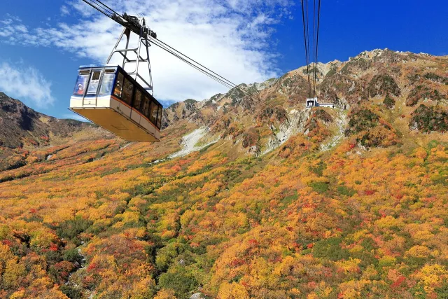 【立山黑部楓葉】紅葉9月中開始！2026賞楓8選、最佳觀賞期搶先看 的縮圖