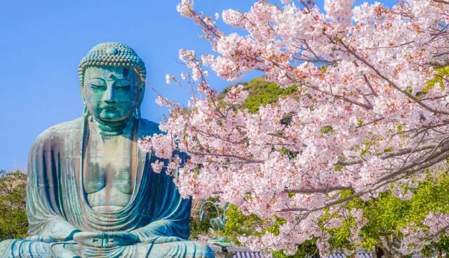 鎌倉大佛殿高德院攻略：歷史、門票、交通、胎內參拜、周邊景點總整理！