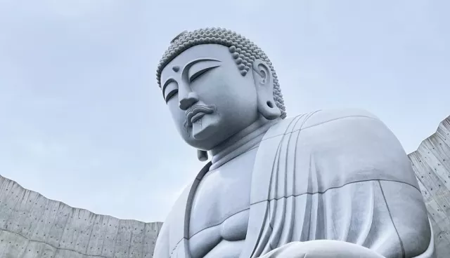北海道頭大佛殿攻略：安藤忠雄設計！交通、門票、季節參觀重點一次看 的縮圖